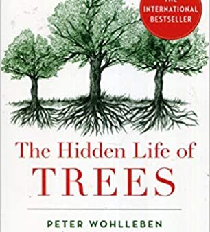 THE HIDDEN LIFE OF TREES Hot on Sale