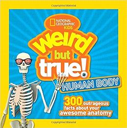 Weird But True! Human Body : 300 Outrageous Facts About Your Awesome Anatomy Cheap