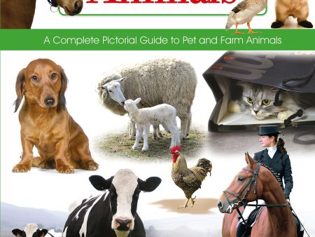 Great Book Of Animals Cheap