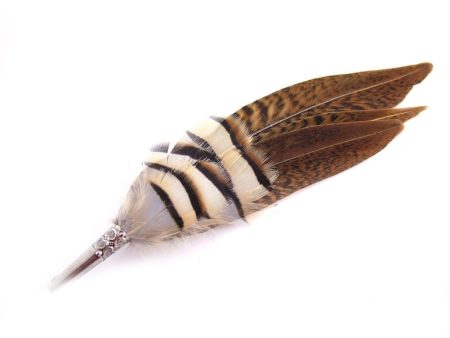 Feather Hat Pin - Partridge & Pheasant For Sale