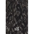 Fashion Source EZ Lace Porsha Synthetic Wig Online now