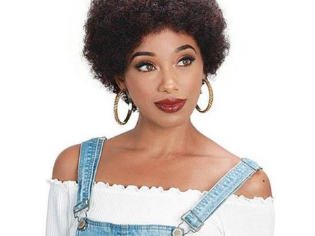 Zury Sis Naturali Star Synthetic Hair Wig - NAT H BIBA For Cheap