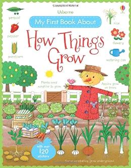 Usborne My First Book About How Things Grow Fashion