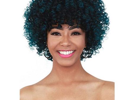 Zury Sis Sister Synthetic Wig DR-H TIMA - Unbeatable Hot on Sale