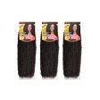 [3 Pack Deal] Bobbi Boss African Roots Collection Crochet Braid - KINKY CURL 12  Online Hot Sale