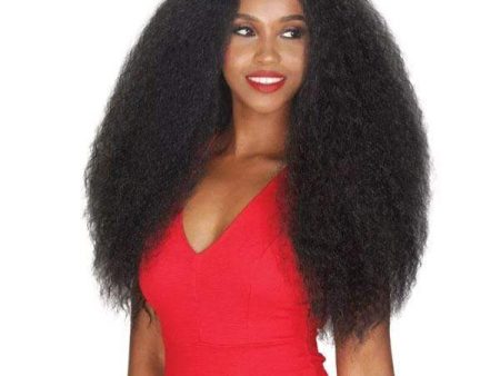 Zury Sis Natural Star Synthetic Hair Lace Front Wig - NAT LACE H CHEX For Cheap