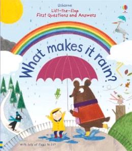 What Makes It Rain? (Usborne Lift the Flap First Questions and Answers) For Discount